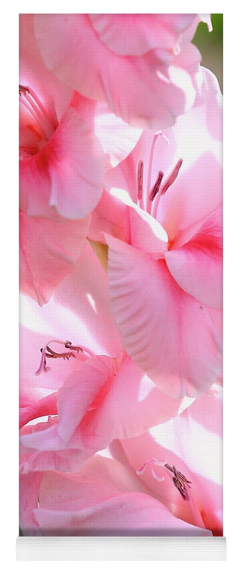 Glads Yoga Mat featuring the photograph Cotton Candy Gladiolus by Carol Groenen