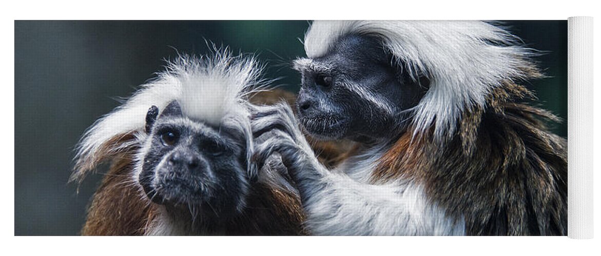 Animal Yoga Mat featuring the photograph Cotton-top Tamarin by Mark Newman