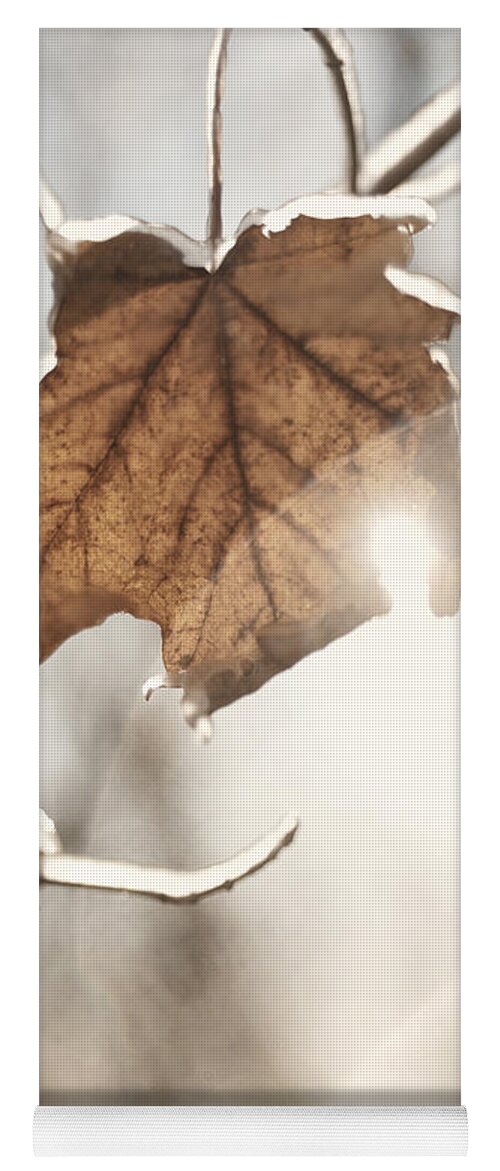 Nature Yoga Mat featuring the photograph Covered with ice maple leafe on a sunny day by Maxim Images Exquisite Prints