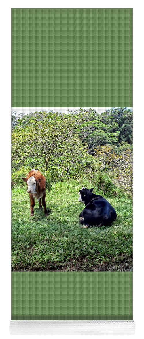 Cattle Yoga Mat featuring the photograph Cow 4 by Dawn Eshelman