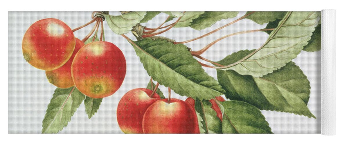 Berry Yoga Mat featuring the painting Crab Apples by Sally Crosthwaite