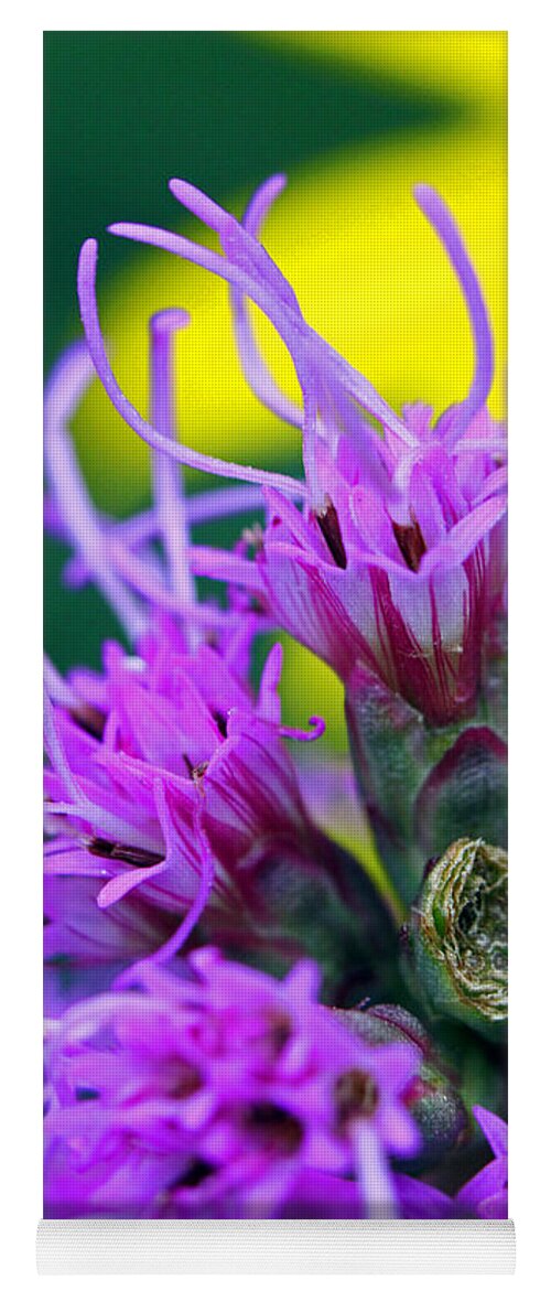 Flowers Yoga Mat featuring the photograph Crazy in Color by Jennifer Robin