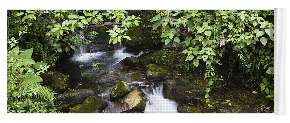 Feb0514 Yoga Mat featuring the photograph Creek Flowing Through Rainforest Costa by Konrad Wothe