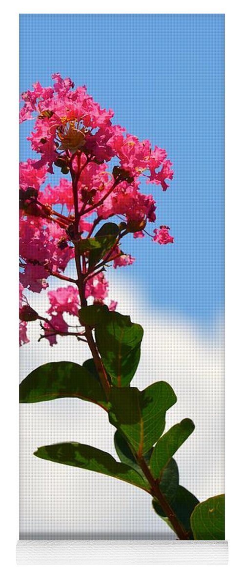 Crepe Myrtle Yoga Mat featuring the photograph Crepe Myrtle against the Sky by Richard Bryce and Family