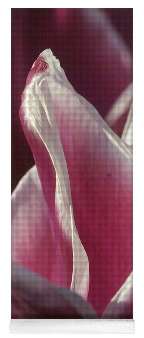 Nature Yoga Mat featuring the photograph crimson Tulip by Rudi Prott