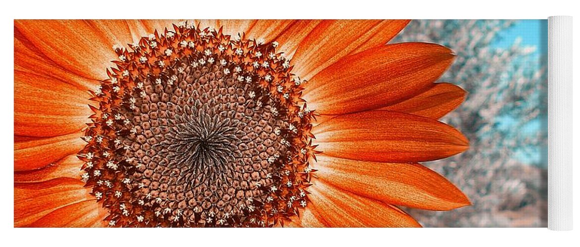 Sunflower Yoga Mat featuring the photograph Crisp Sunflower on a Summer day by De La Rosa Concert Photography