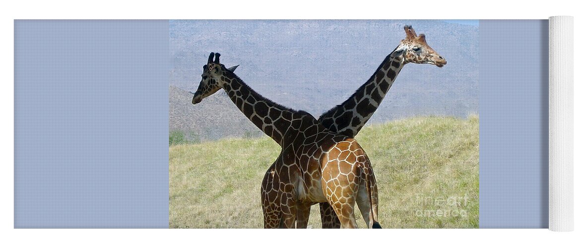 2 Giraffes Yoga Mat featuring the photograph Crossed Giraffes by Phyllis Kaltenbach