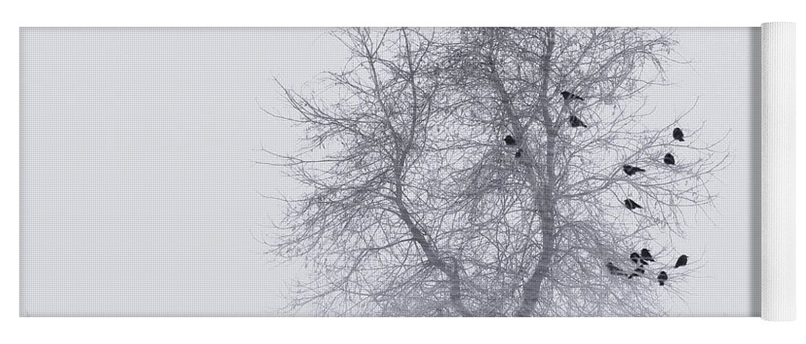 Nature Yoga Mat featuring the photograph Crows on Tree in WInter Snow Storm by Peter V Quenter