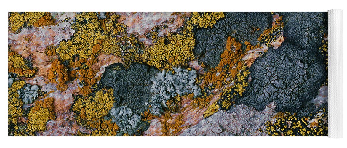 Lichens Yoga Mat featuring the photograph Crustose Lichens by Hermann Eisenbeiss