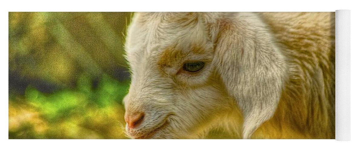  Goat Yoga Mat featuring the photograph Cuddly by Dennis Baswell