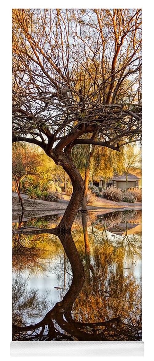 Autumn Yoga Mat featuring the photograph Curved Reflection by Kerri Mortenson