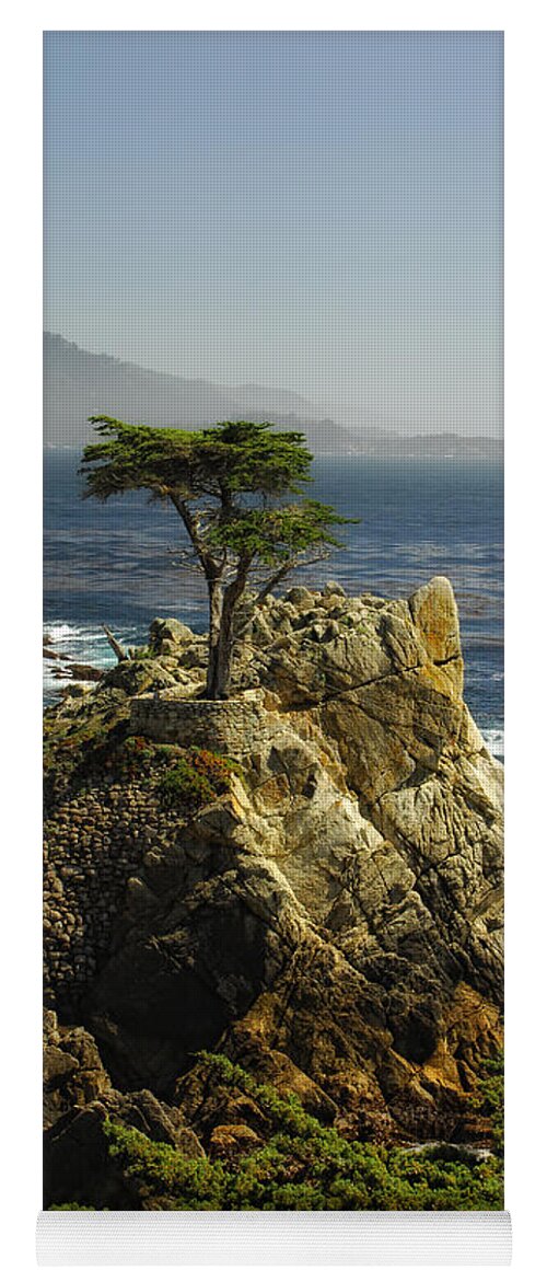 Cypress Tree Yoga Mat featuring the photograph Cypress by Donna Blackhall