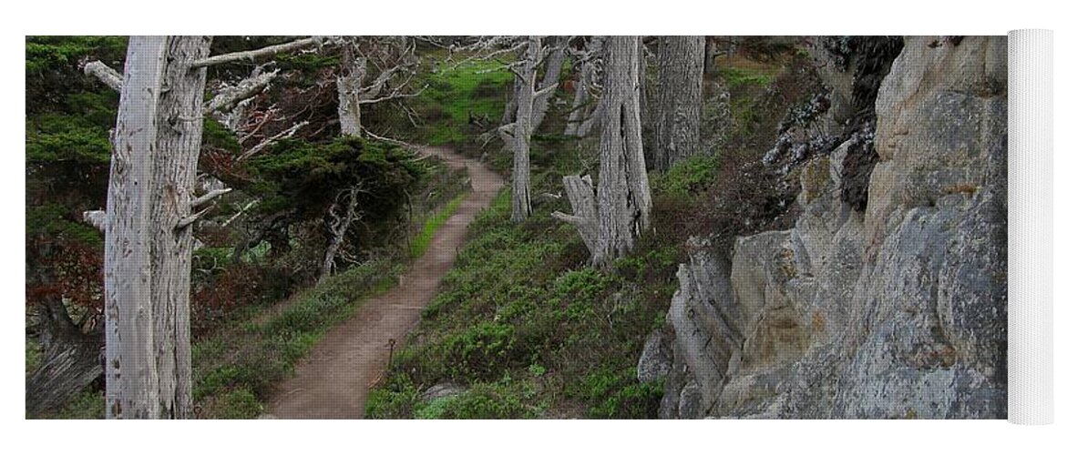 Point Lobos Yoga Mat featuring the photograph Cypress Grove Trail by James B Toy