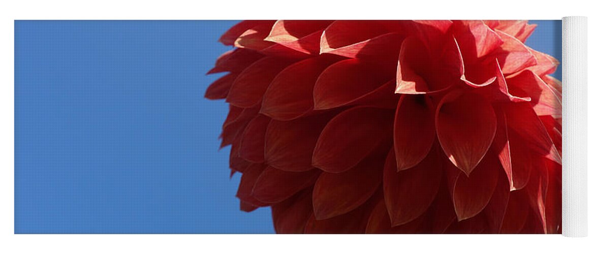 Flowing Yoga Mat featuring the photograph Dahlia #2 by Jacqueline Athmann