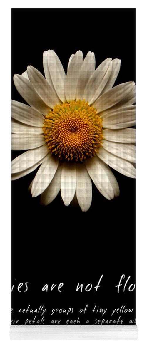 Daisies Are Not Flowers Yoga Mat featuring the photograph Daisies are not flowers by Weston Westmoreland