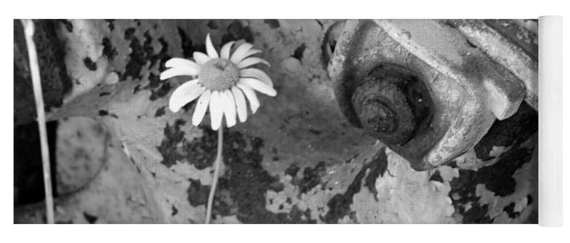Flowers Yoga Mat featuring the photograph Daisy by John Schneider