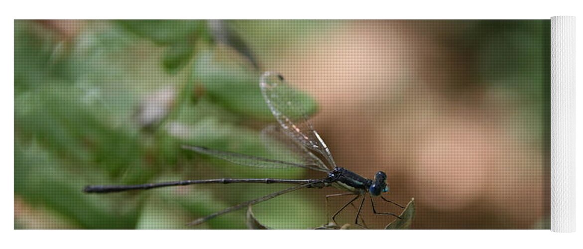 Damselfly Yoga Mat featuring the photograph Damselfly by Neal Eslinger