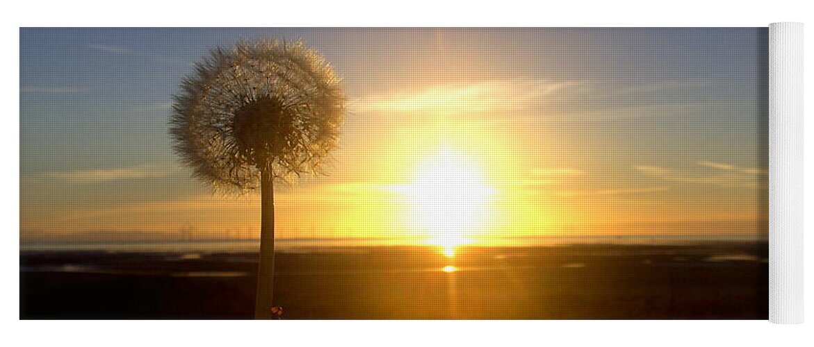 Liverpool Yoga Mat featuring the photograph Dandelion at Sunset 2 by Steve Kearns