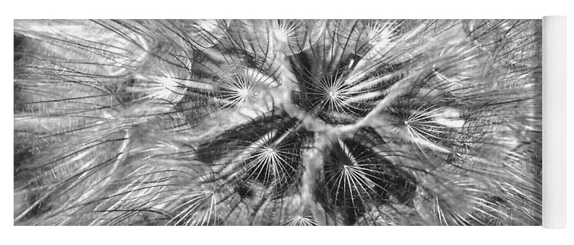 Abstract Yoga Mat featuring the photograph Dandelion Fireworks in Black and White by Rona Black