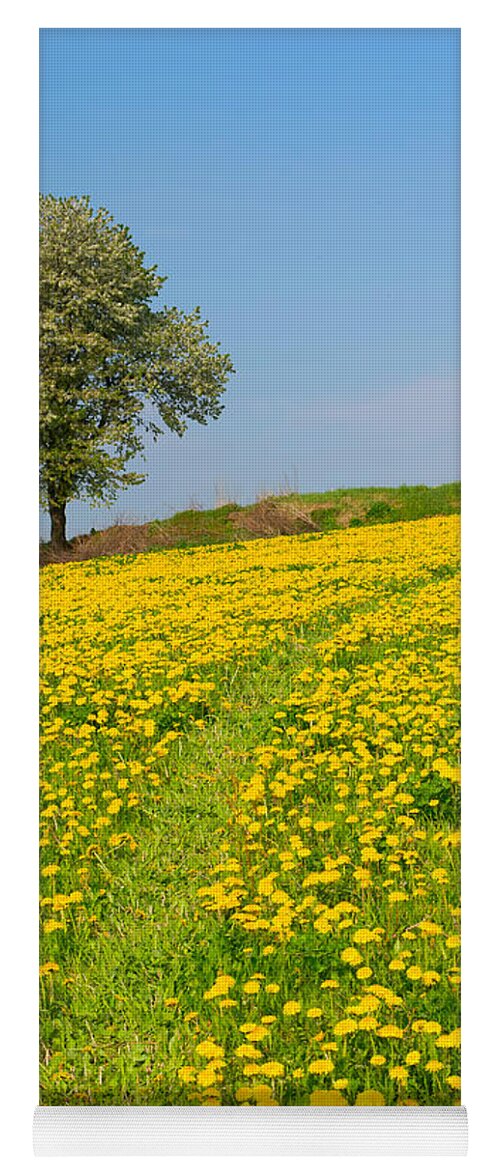 Agriculture Yoga Mat featuring the photograph Dandelion meadow and alone tree by Jaroslav Frank
