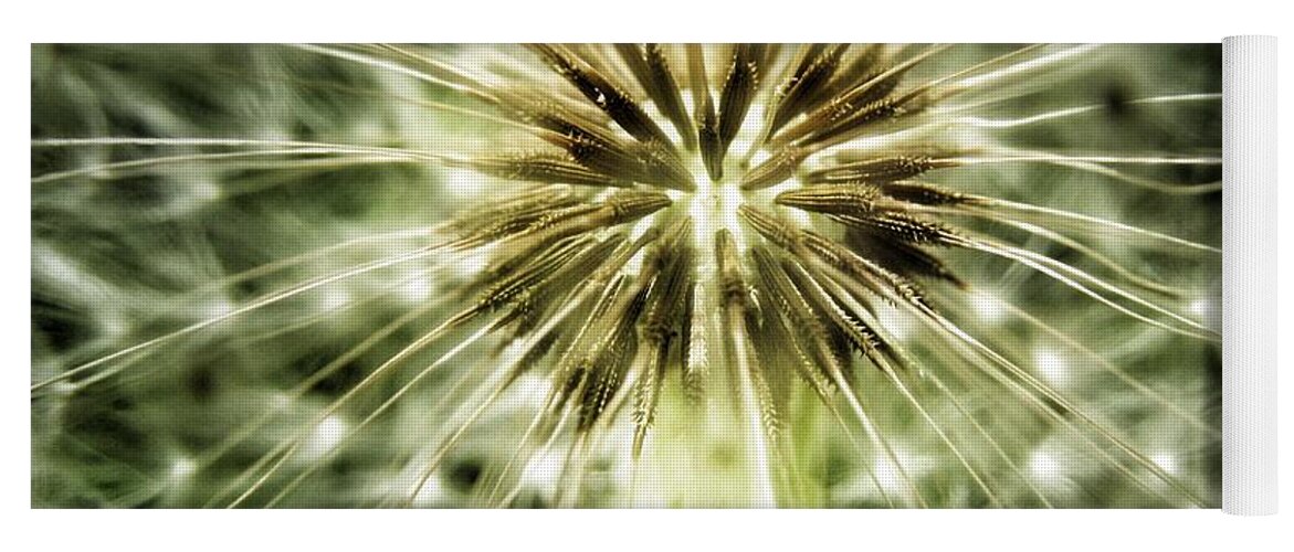 Dandelion Yoga Mat featuring the photograph Dandelion Seeds by Marianna Mills