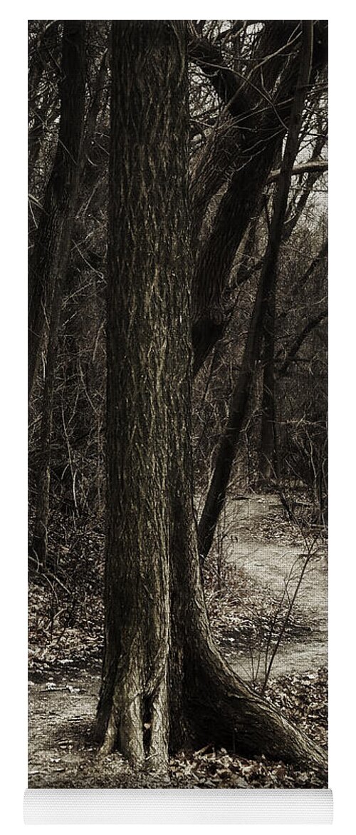 Path Yoga Mat featuring the photograph Dark Winding Path by Scott Norris