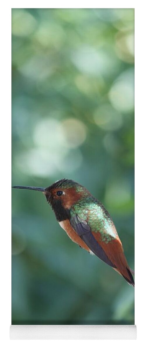 Allen's Hummingbird Yoga Mat featuring the photograph Dazzling Gem by Amy Gallagher