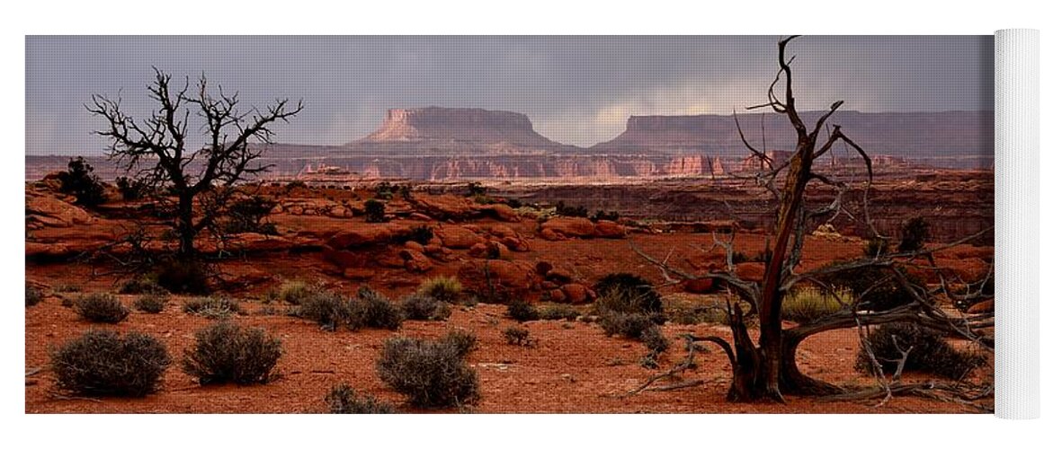 Canyonlands Yoga Mat featuring the photograph Desert Light by Tranquil Light Photography