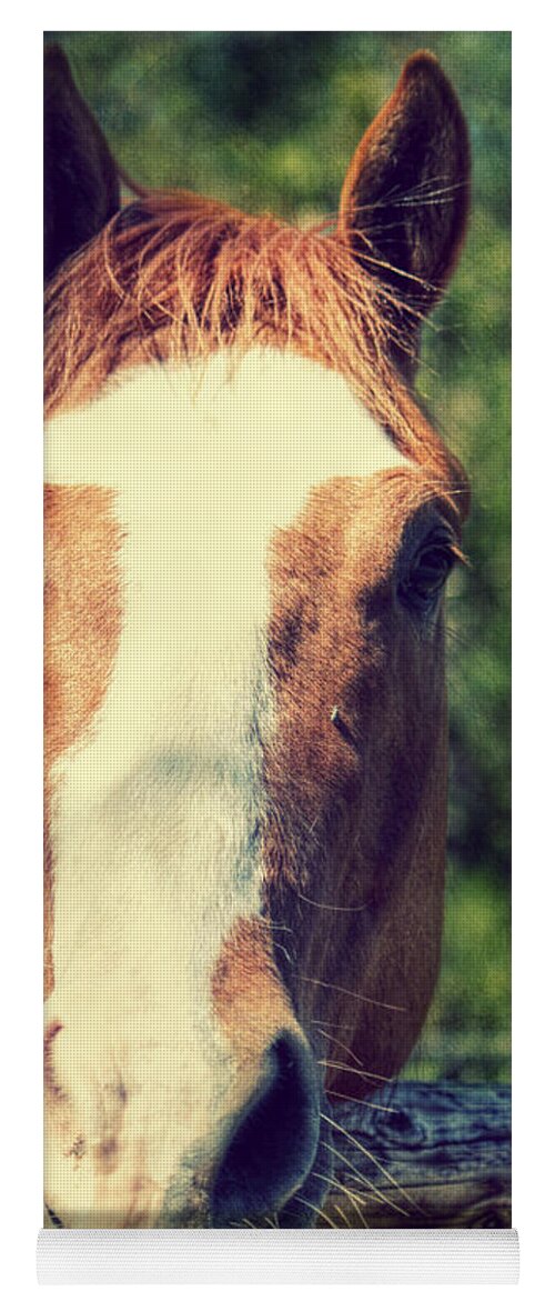 Horse Yoga Mat featuring the photograph Did you Bring an Apple by Melanie Lankford Photography