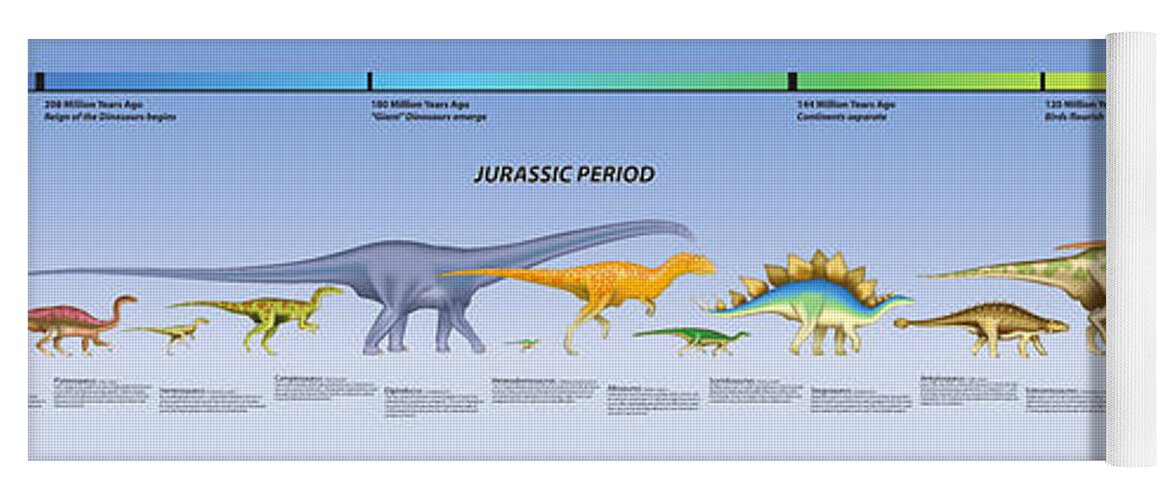 Dinosaur Timeline Yoga Mat By Paul Gioacchini - Pixels