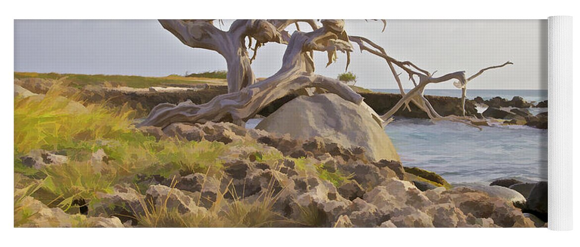 Aruba Yoga Mat featuring the photograph Divi Divi Tree on the Coastline of Aruba by David Letts