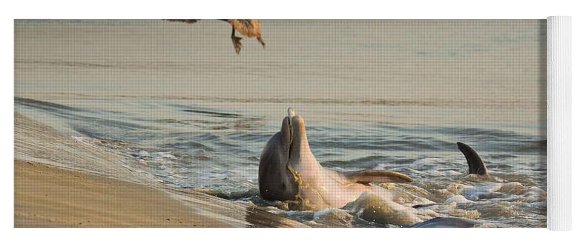 Dolphin Yoga Mat featuring the photograph Dolphin Joy by Patricia Schaefer