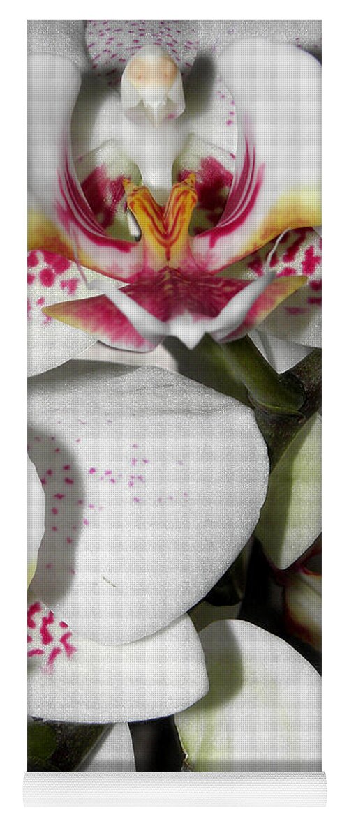 White Orchids Yoga Mat featuring the photograph Dots and Splashes of Pink on Orchid by Kim Galluzzo Wozniak