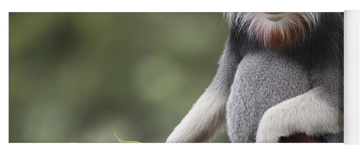 Cyril Ruoso Yoga Mat featuring the photograph Douc Langur Male Vietnam by Cyril Ruoso