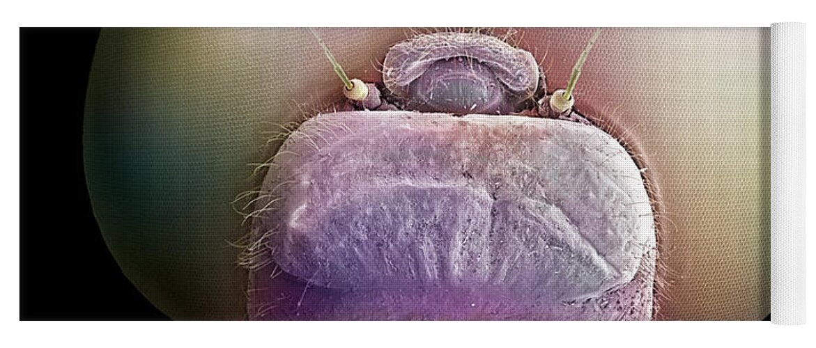 Albert Lleal Yoga Mat featuring the photograph Dragonfly Head SEM 25x Magnification by Albert Lleal