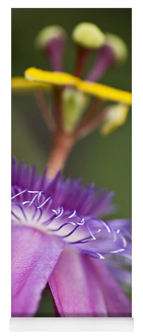  Passionflower Yoga Mat featuring the photograph Dreamy Passion by Priya Ghose