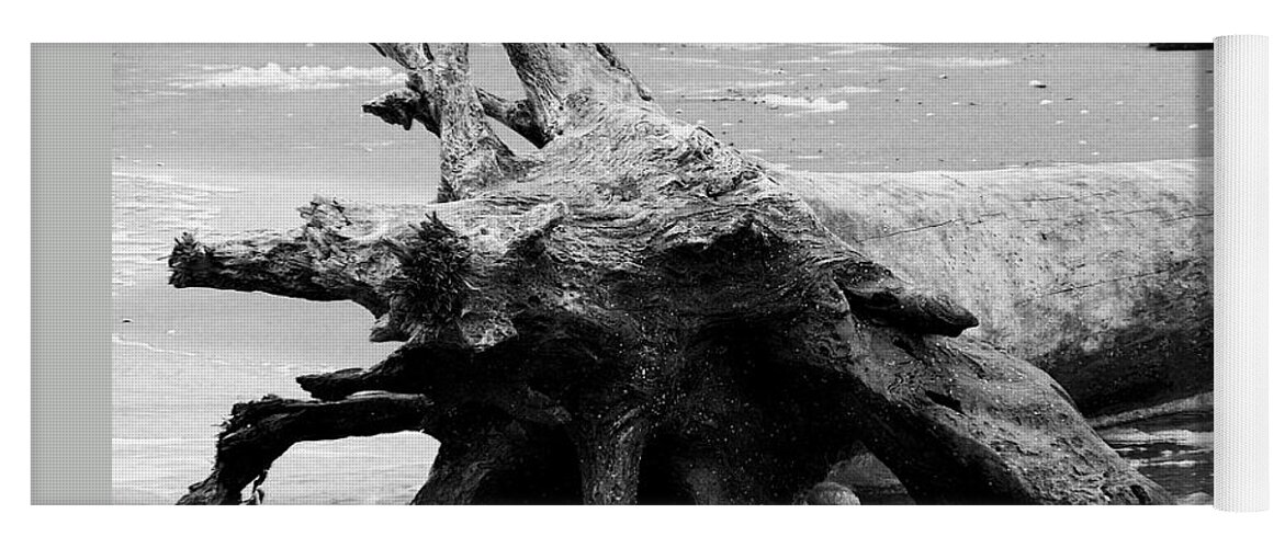 Driftwood Yoga Mat featuring the photograph Drift Away by Melinda Ledsome