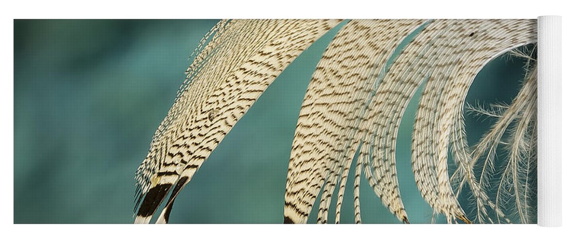 Design Yoga Mat featuring the photograph Droopy Feather by Jean Noren