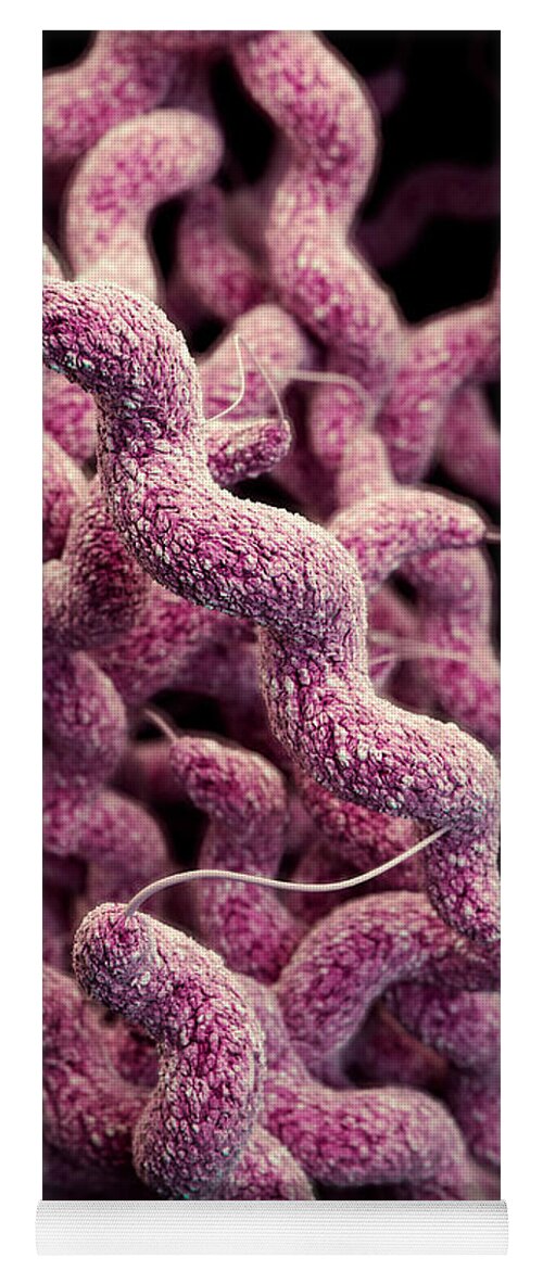 Drug Resistant Yoga Mat featuring the photograph Drug-resistant Campylobacter by Science Source