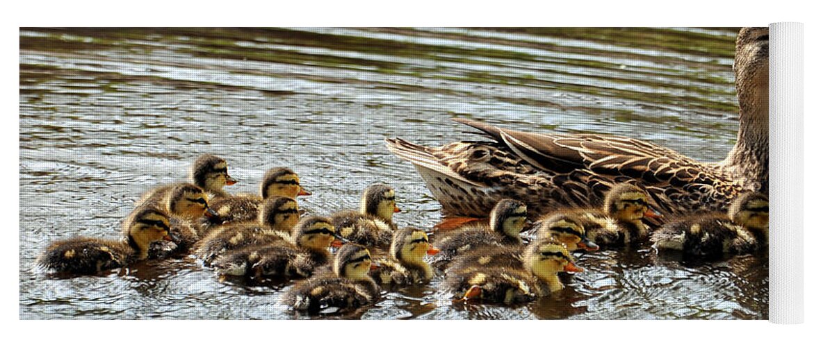 Duck Yoga Mat featuring the photograph Duck Family by David Hart