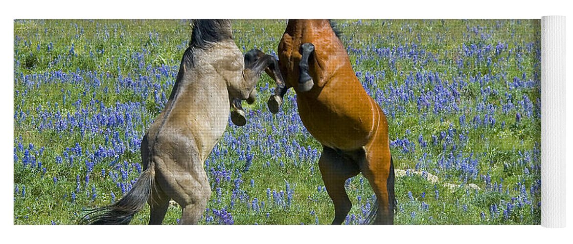 Mustangs Yoga Mat featuring the photograph Dueling Mustangs by Gary Beeler