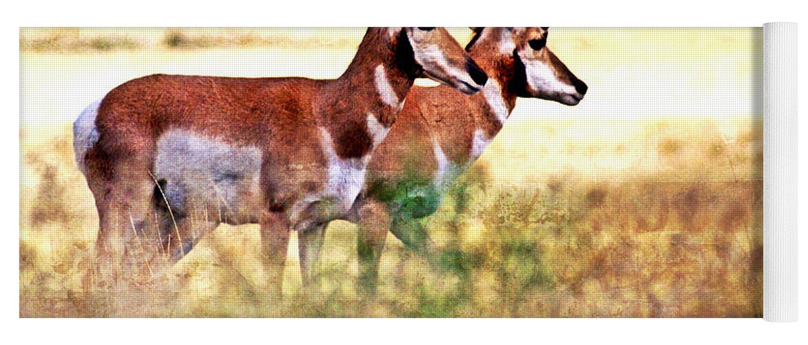 Antelope Yoga Mat featuring the photograph Dynamic Duo by Marty Koch