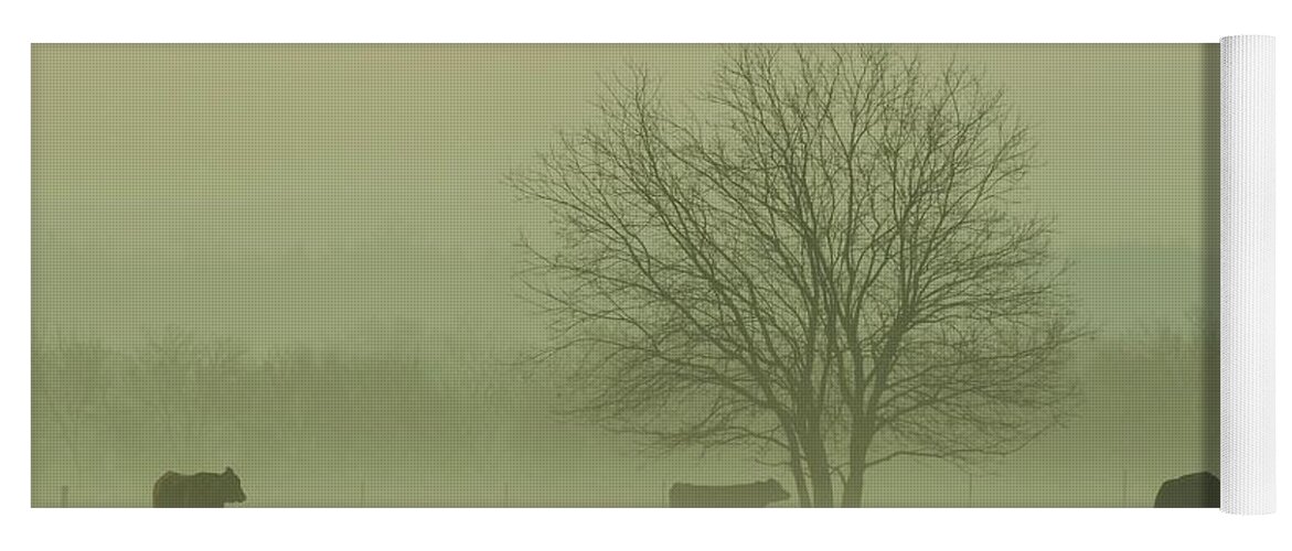 Morning Fog Yoga Mat featuring the photograph Early Morning Fog 009 by Robert ONeil