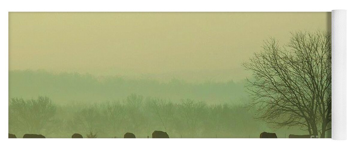 Morning Fog Yoga Mat featuring the photograph Early Morning Fog 014 by Robert ONeil