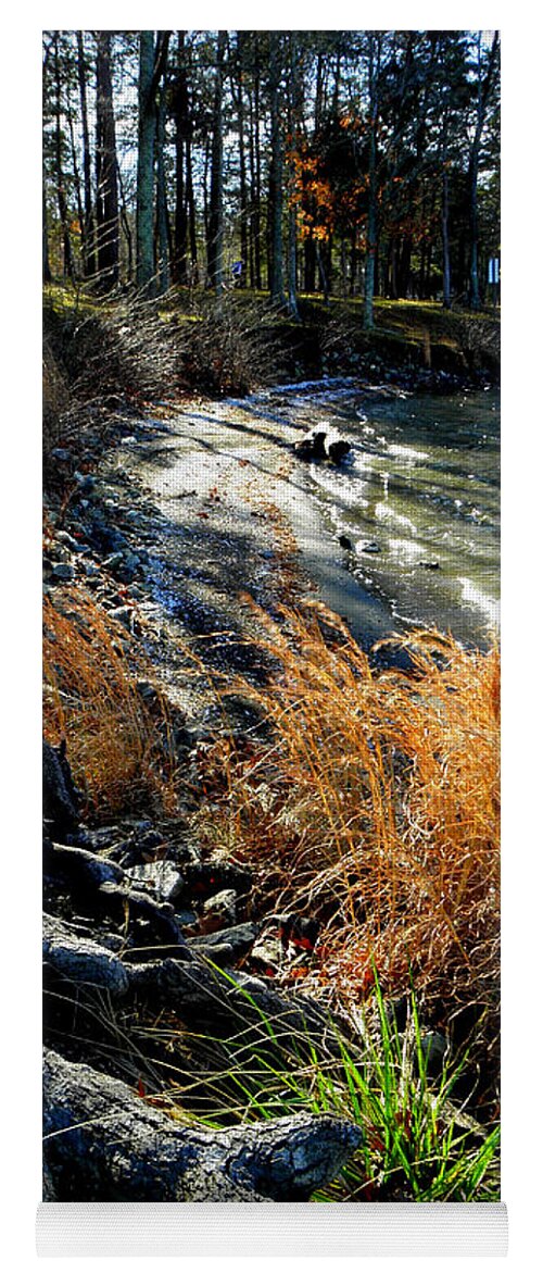 Matte Print Yoga Mat featuring the photograph Early Winters Waters Edge by Kim Galluzzo