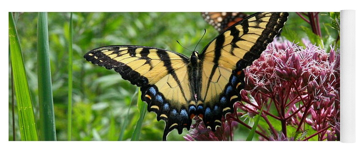 Butterflies Yoga Mat featuring the photograph Eastern Tiger Swallowtail on Joe Pye Weed by Neal Eslinger
