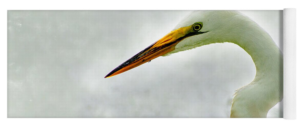 Bird Yoga Mat featuring the photograph Egret close-up by John Johnson