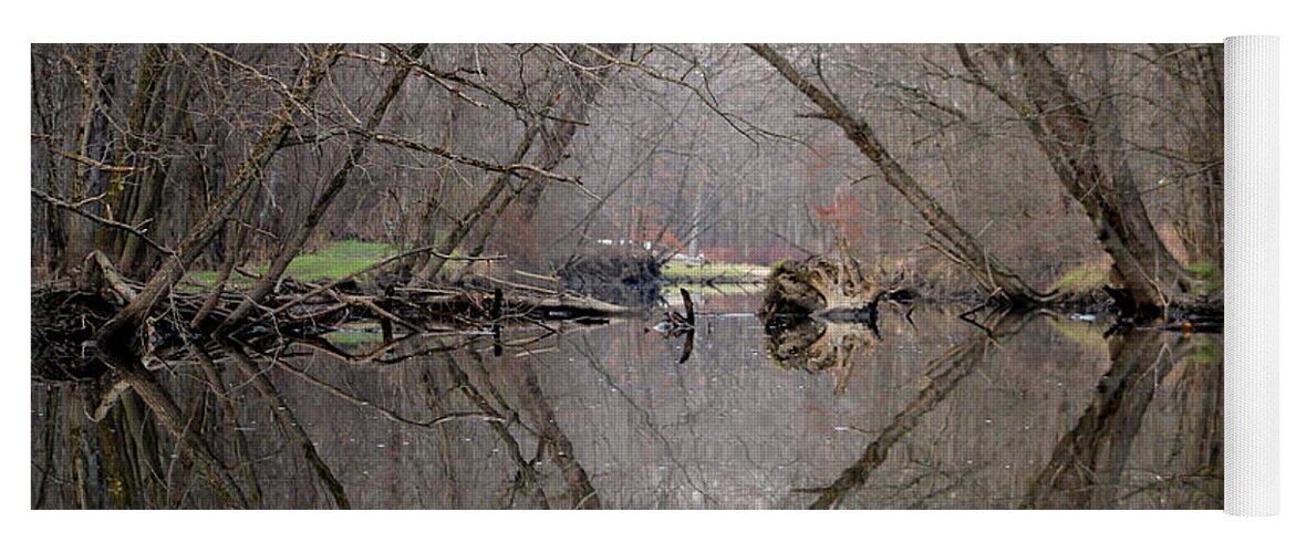 Nature Yoga Mat featuring the photograph Eldon's Reflection by Bruce Patrick Smith