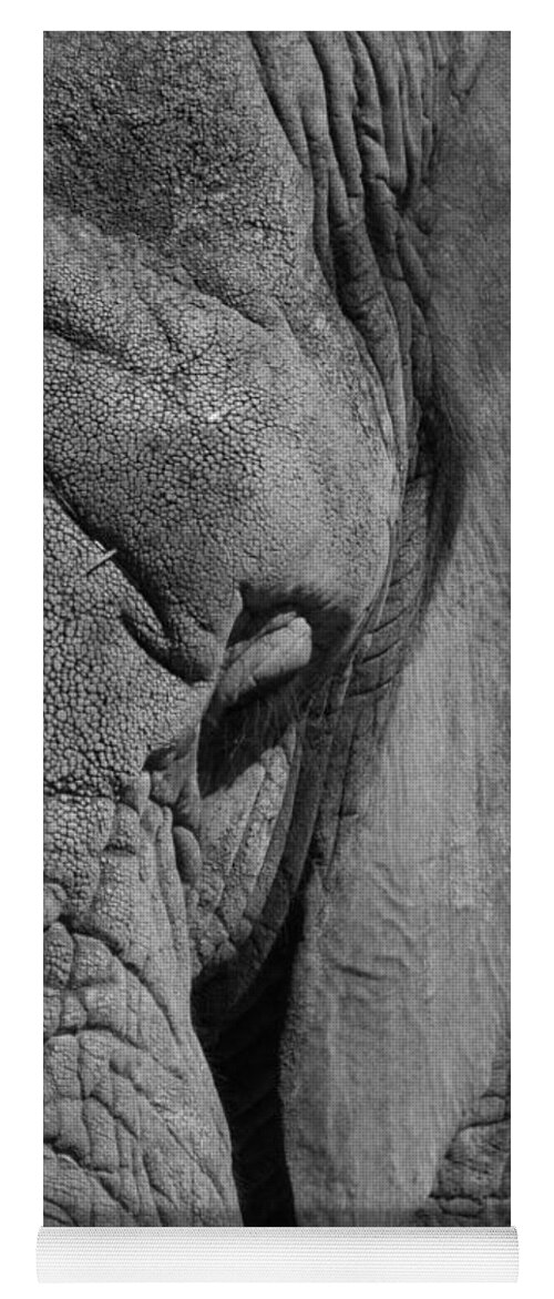 Elephant Yoga Mat featuring the photograph Elephant BW by Ernest Echols