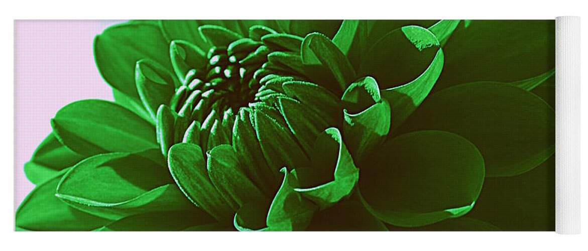 Dahlia Yoga Mat featuring the photograph Emerald Green Beauty by Dora Sofia Caputo